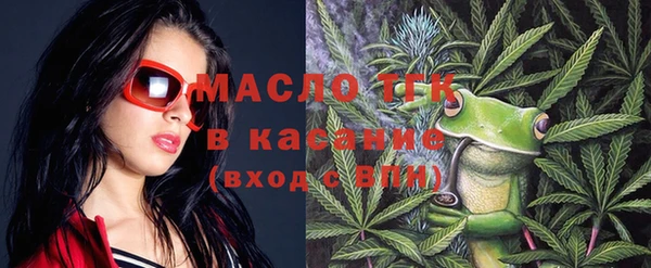 индика Богородицк