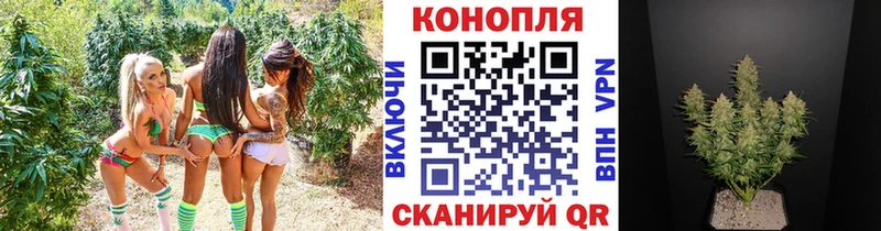 сколько стоит Боготол ссылка на мегу онион Канабис индика